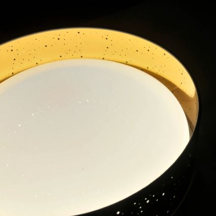 LED-kattovalaisin TULUZA LED/24W/230V halkaisija 40 cm musta