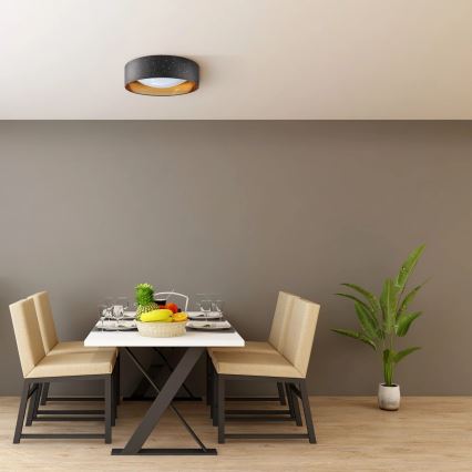 LED-kattovalaisin TULUZA LED/24W/230V halkaisija 40 cm musta