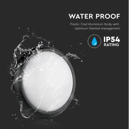 LED-kattovalaisin ulkokäyttöön LED/12W/230V IP54