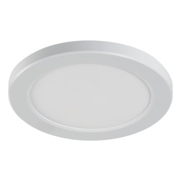 LED kattovalaisin/uppoasennettava 2-in-1 ERGA LED/17W/230V 3000/4000/6500K valkoinen