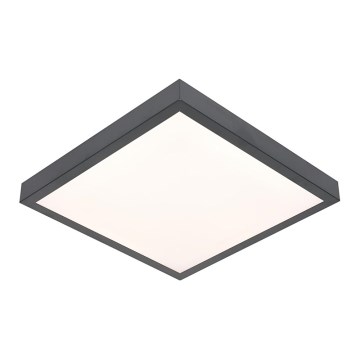 LED-kattovalaisin VITALI LED/24W/230V