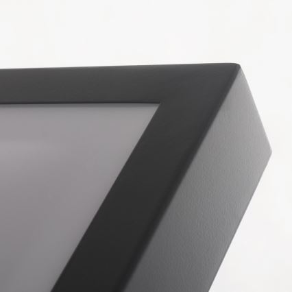 LED-kattovalaisin VITALI LED/24W/230V