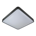 LED-kattovalaisin WILTON LED/24W/230V 37,5x37,5 cm antrasiitti