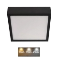 LED Kattovalo NEXXO LED/12,5W/230V 3000/3500/4000K 17x17 cm musta