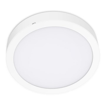 LED Kattovalo SIGARO CIRCLE LED/18W/230V 4000K IP40