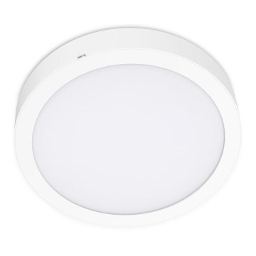 LED Kattovalo SIGARO CIRCLE LED/24W/230V 4000K IP40