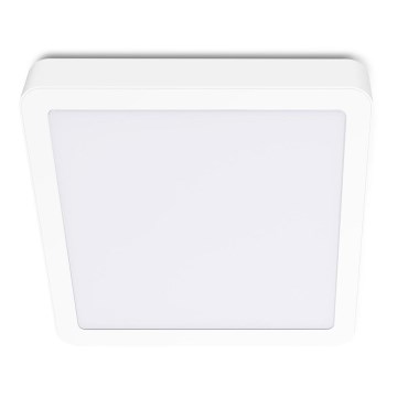 LED Kattovalo SIGARO SQUARE LED/24W/230V 4000K IP40