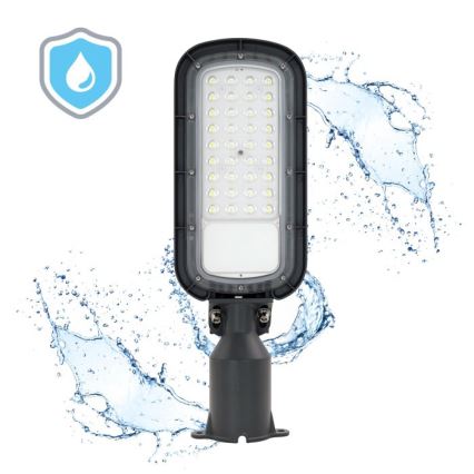LED-katuvalaisin BRELUXO LED/50W/230V 4000K IP65