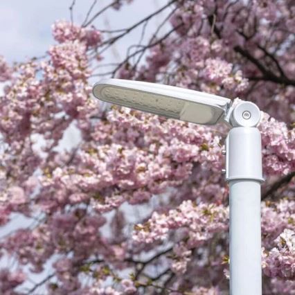 LED-katuvalo SOLIS LED/30W/230V 3000K IP65