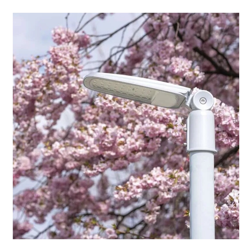 LED-katuvalo SOLIS LED/50W/230V 4000K IP65