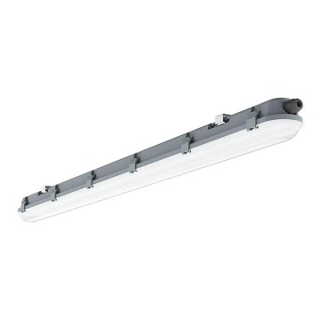 LED Kestävä loistelamppu M-SARJA LED/36W/230V 6400K 120cm IP65