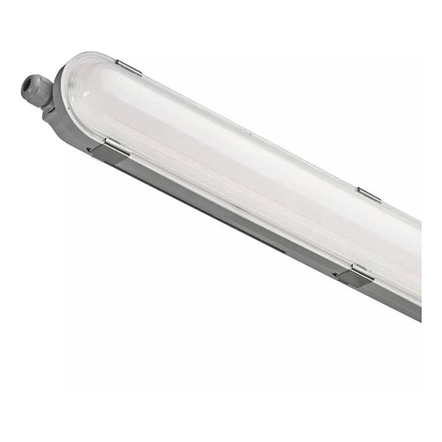 LED Kestävä valo LED/53W/230V IP66 6500K