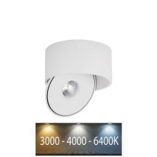 LED-kohdevalaisin LED/20W/230V 3000/4000/6400K CRI 90 valkoinen