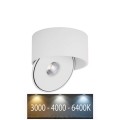 LED-kohdevalaisin LED/28W/230V 3000/4000/6400K CRI 90 valkoinen