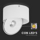 LED Joustava kohdevalo LED/28W/230V 3000/4000/6400K CRI 90 valkoinen