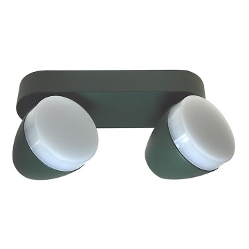 LED-kohdevalaisin SURMUR 2xLED/6W/230V vihreä