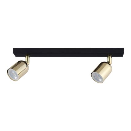 LED-kohdevalaisin TOP 2xGU10/10W/230V musta/kulta