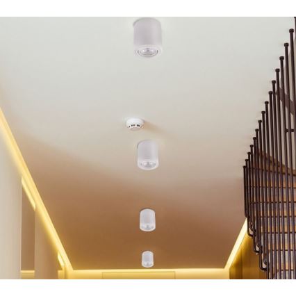 LED-kohdevalaisin TUBA 1xGU10 / 5W / 230V 2700K valkoinen