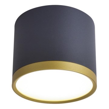 LED-kohdevalaisin TUBA LED/9W/230V musta/kultainen