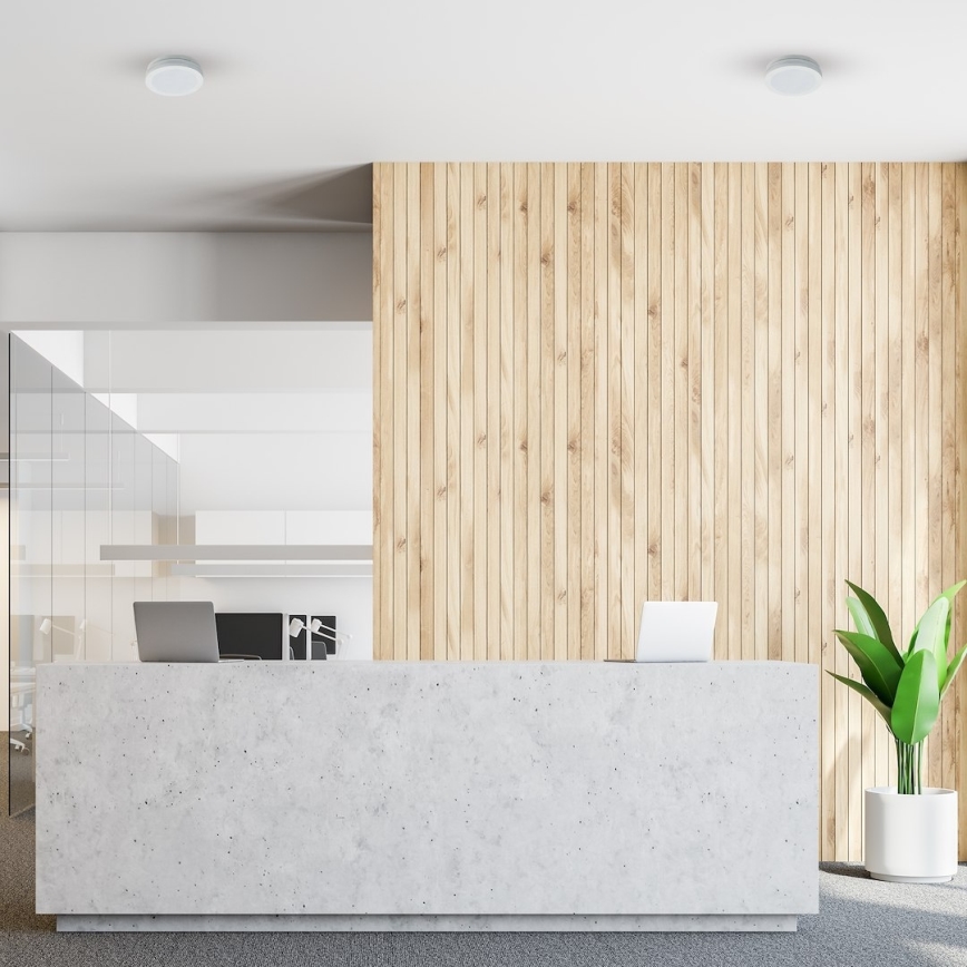 LED-kylpyhuoneen kattovalaisin MARLON LED/12W/230V halkaisija 18 cm IP54 valkoinen