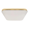 LED Kylpyhuoneen kattovalaisin NEMO LED/17W/230V IP44 kulta
