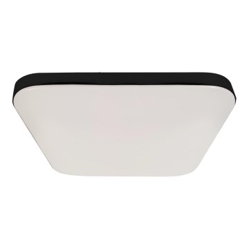 LED Kylpyhuoneen kattovalaisin NEMO LED/17W/230V IP44 musta