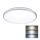 LED Kylpyhuoneen kattovalo LED/24W/230V 3000/4000/6500K IP54