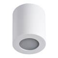 LED Kylpyhuoneen kattovalo SANI 1xGU10/10W/230V IP44 valkoinen