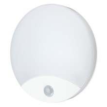 LED Kylpyhuoneen seinävalaisin sensorilla ORBIS LED/10W/230V IP44