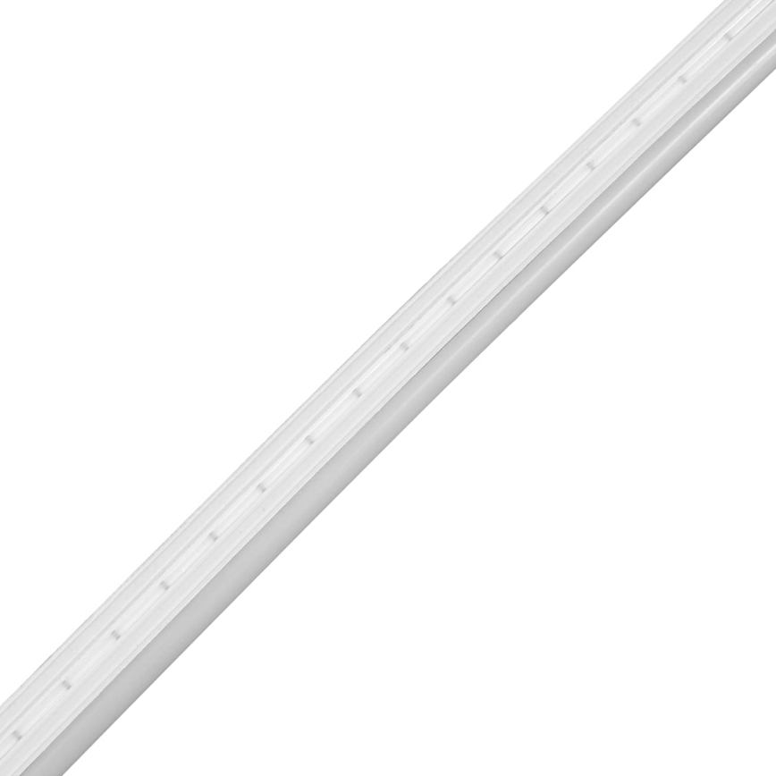 LED kylpyhuonenauha NEON EKO-FLEX LED/250W/12V 4000K IP65 25m valkoinen