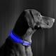 LED ladattava koiran kaulapanta 35-43 cm 1xCR2032/5V/40 mAh sininen