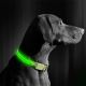LED ladattava koiran kaulapanta 35-43 cm 1xCR2032/5V/40 mAh vihreä