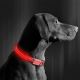 LED ladattava koiran kaulapanta 40-48 cm 1xCR2032/5V/40 mAh punainen
