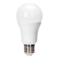 LED-lamppu A60 E27/24W/230V 6500K - Aigostar