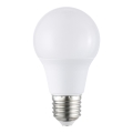 LED-lamppu A60 E27/8,5W/230V 6500K - Eglo 117595