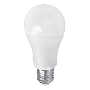 LED-lamppu PITT A60 AC/DC E27/12W/24V 4000K