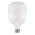 LED-lamppu T100, E27-kanta, 30 W, 230 V, 6500 K