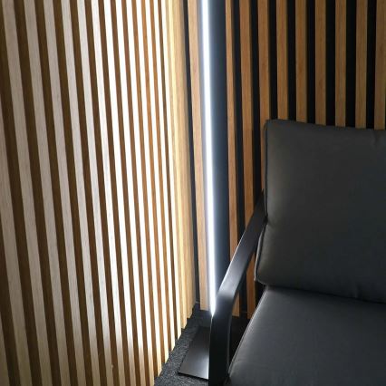 LED-lattiavalaisin BERNADETTA LED/28W/230V 4000K musta