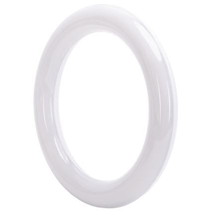 LED loisteputki G10q/14W/230V 3000K - Aigostar