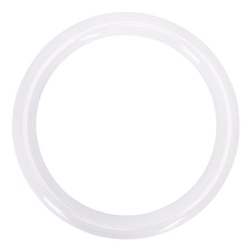 LED-loisteputki G10q/17W/230V 6500K - Aigostar