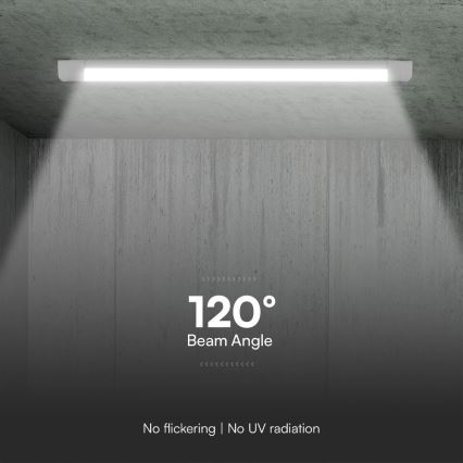 LED Loisteputki LED/40W/230V 3000/4000/6500K 116 cm