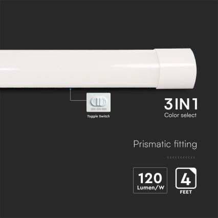 LED Loisteputki LED/40W/230V 3000/4000/6500K 116 cm