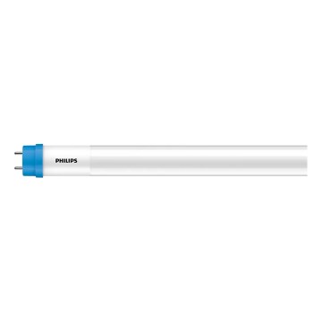 LED-loisteputki Philips T8 G13/31,5W/230V 3000K 150 cm