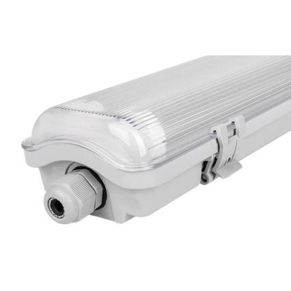 LED-loistevalaisin 2xG13/18W/230V 127,1 cm 4000K IP65