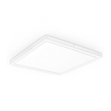 LED paneeli XELENT LED/50W/230V 4000K IP40