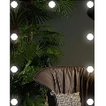LED-peili valaistuksella 9xLED/1W/230V 3000/4000/6000K 50x40 cm IP44