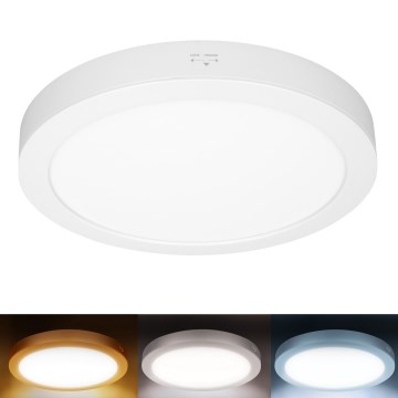 LED-pinta-/upotettava paneeli 2-in-1 24W/230V 3000/4000/6000K Ø 30 cm IP54 valkoinen