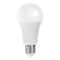 LED-polttimo A60 E27/21W/230V 6500K - Aigostar
