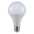 LED-polttimo A80 E27/20W/230V 6500K