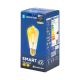LED-polttimo FILAMENT ST64 E27/6W/230V 2700-6500K - Aigostar